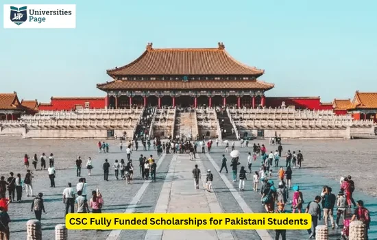 Csc Fully Funded Scholarship in China 2024