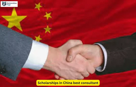 Scholarships in China best consultant