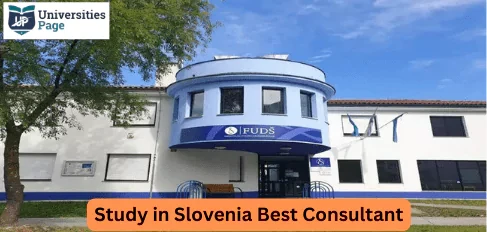 Study in slovenia best consultant